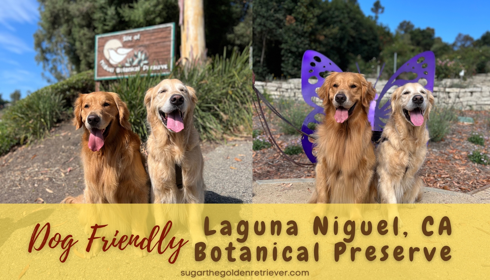 Dog-Friendly Niguel Botanical Preserve – Golden Woofs