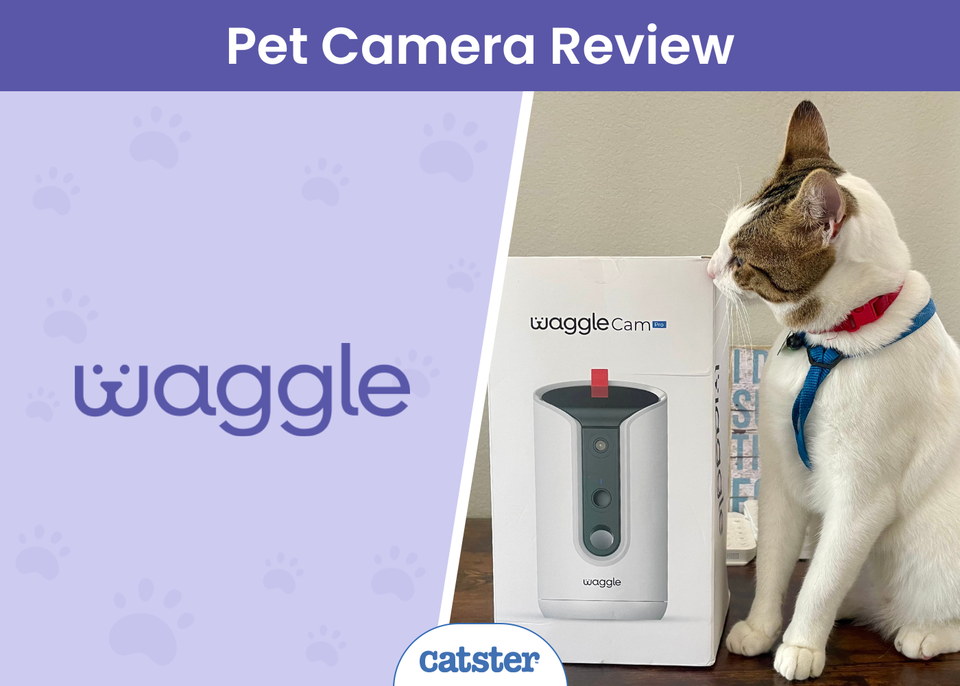 WaggleCam Pro Review 2024: A Detailed Look