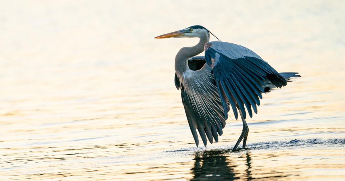 Water Conservation Proving Successful as Colorado River Water Users Avoid Crisis Again