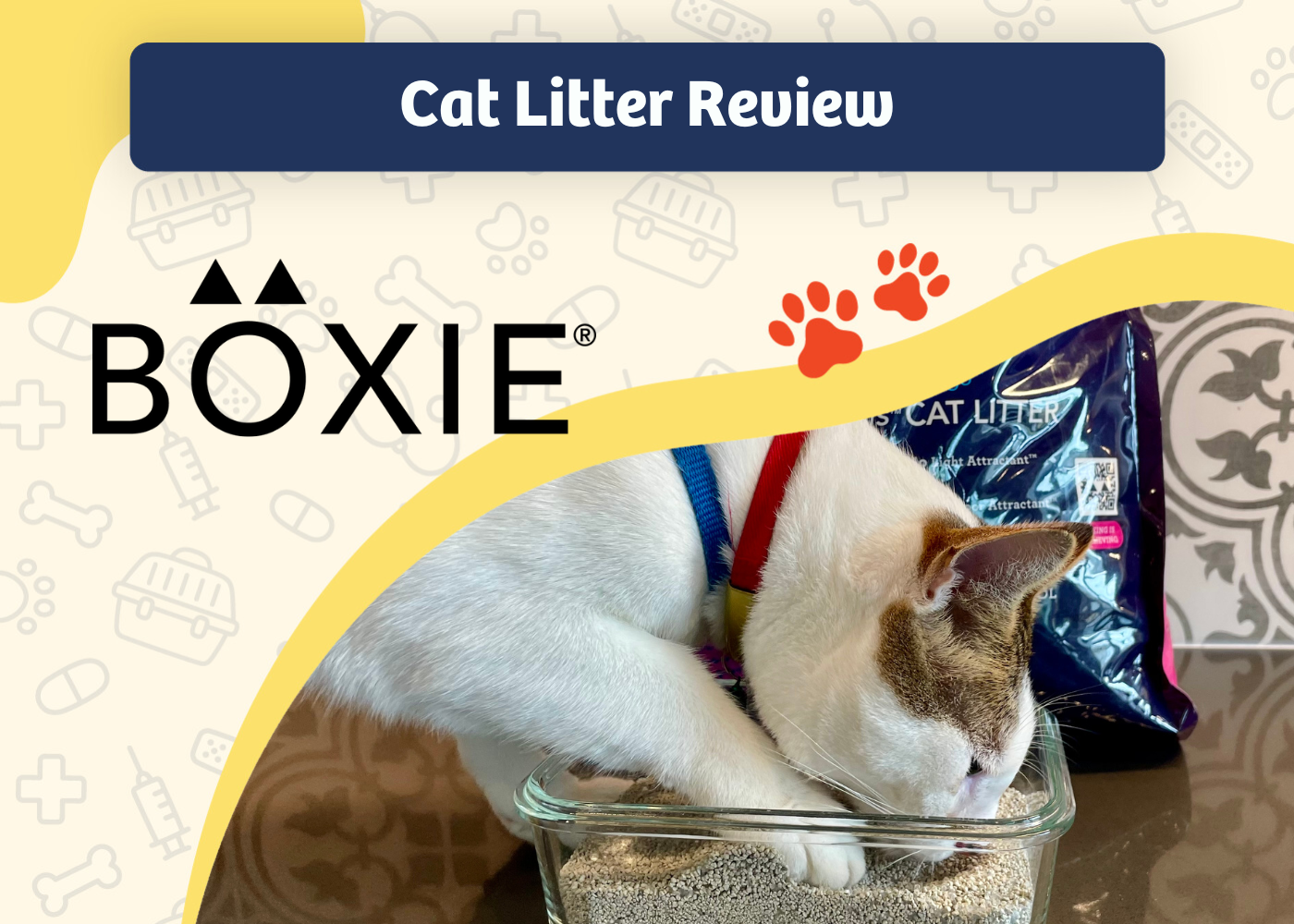 Boxie Glo Natural Attractions Clumping Clay Cat Litter Review 2024: Our Expert’s Opinion