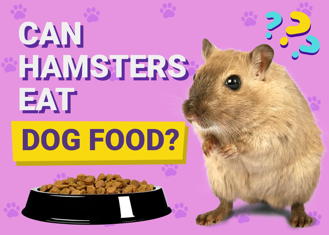 Can Hamsters Eat Dog Food? What You Need to Know