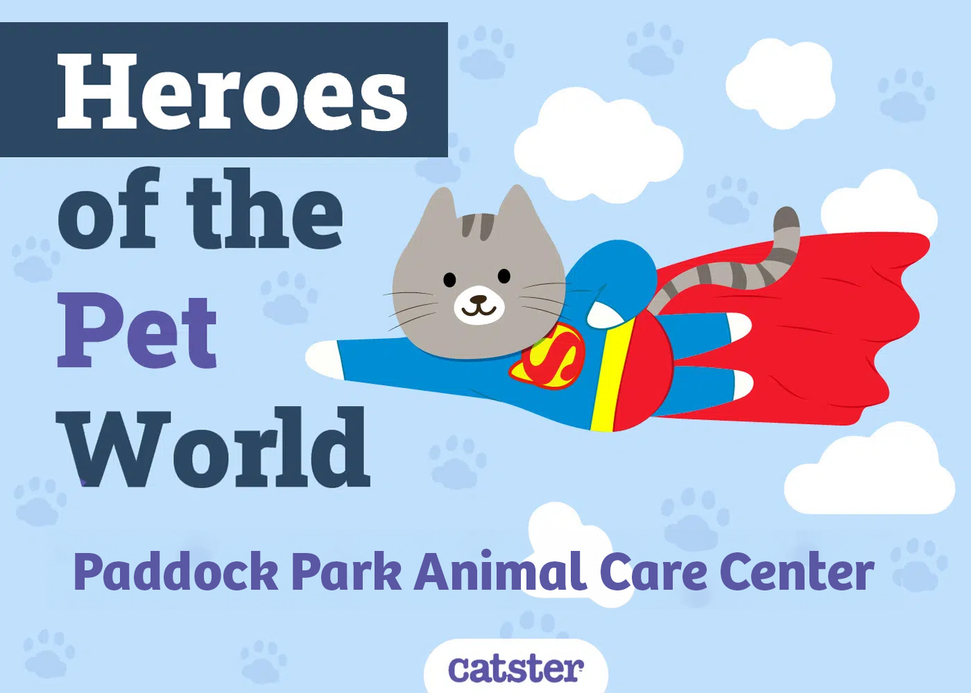 Paddock Park Animal Care Center: Heroes of The Pet World